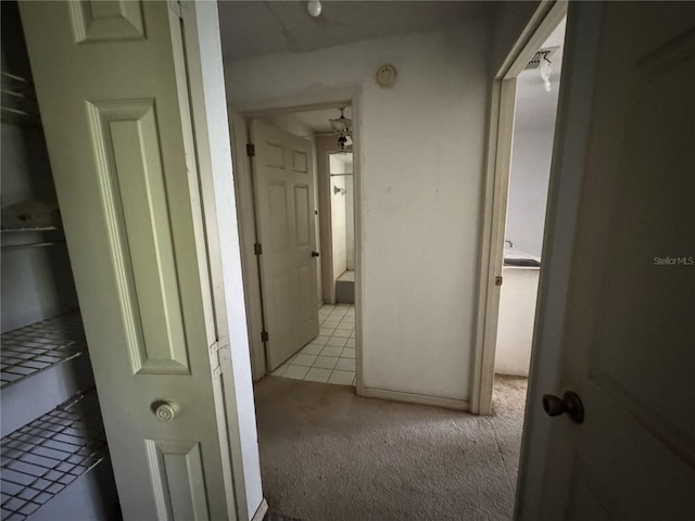 3720 Moores Lake Rd, Dover, FL 33527 - photo 38