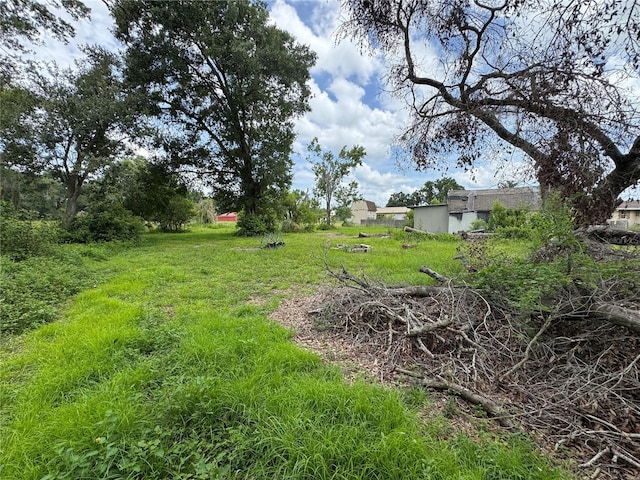 3720 Moores Lake Rd, Dover, FL 33527 - photo 63