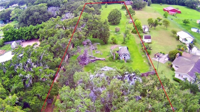 3720 Moores Lake Rd, Dover, FL 33527 - photo 71