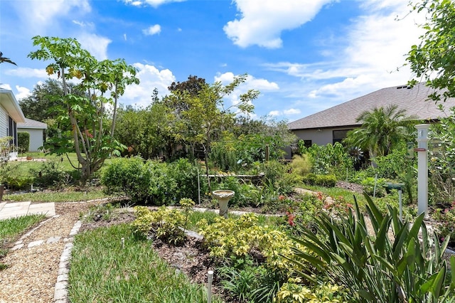 5008 Adriatic Ave, Tavares, FL 32778 - photo 42
