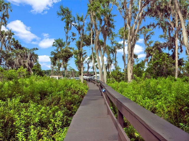 1978 Brantley Cir, Clermont, FL 34711 - view of community