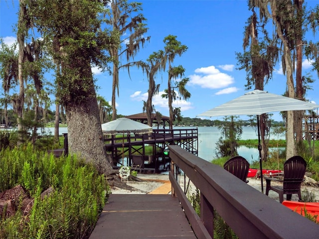1978 Brantley Cir, Clermont, FL 34711 - dock area with a water view