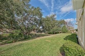 370 Salt Marsh Ln, Groveland, FL 34736 - view of grassy yard