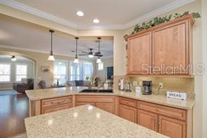 370 Salt Marsh Ln, Groveland, FL 34736 - kitchen featuring crown molding, a peninsula, ceiling fan, open floor plan, and recessed lighting