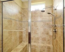 370 Salt Marsh Ln, Groveland, FL 34736 - bathroom featuring a stall shower