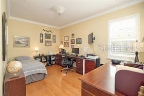 370 Salt Marsh Ln, Groveland, FL 34736 - bedroom featuring crown molding, light wood-style floors, and an office area