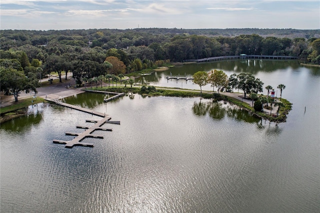 7811 Laurel View Dr, Mount Dora, FL 32757 - water view with a forest