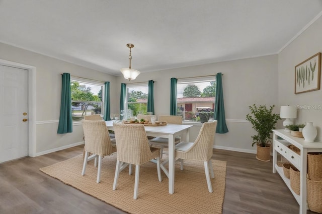 37249 Marco Ln, Dade City, FL 33525 - photo 12
