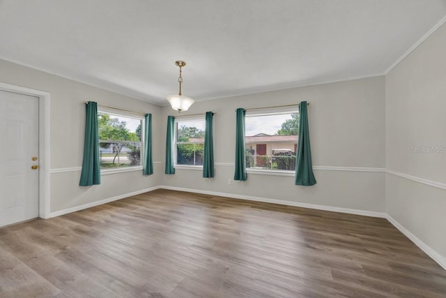 37249 Marco Ln, Dade City, FL 33525 - photo 13