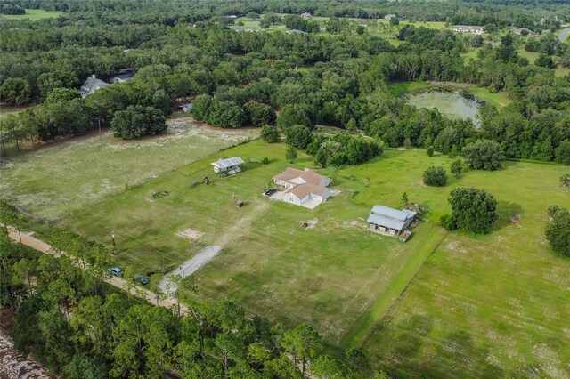 41636 Outlaw Ln, Weirsdale, FL 32195 - photo 49