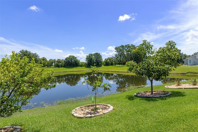 6307 Berkshire Pass, Leesburg, FL 34748 - water view
