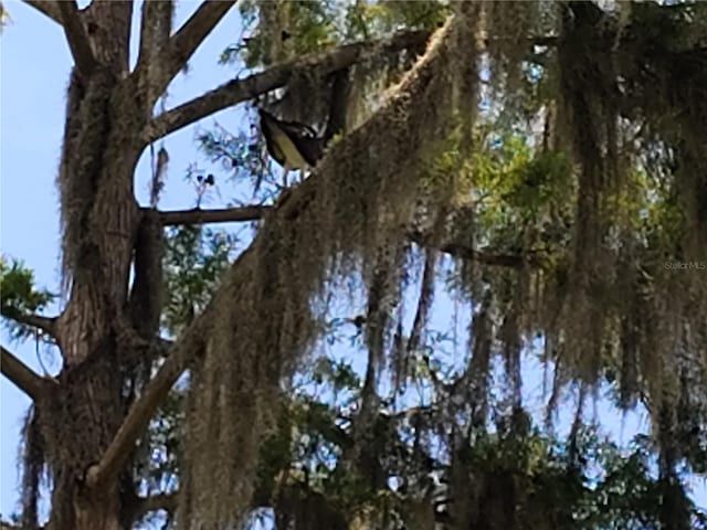876 Crk 467, Lake Panasoffkee, FL 33538 - photo 35
