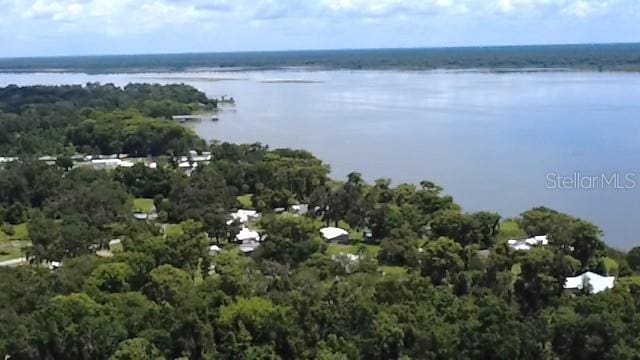 876 Crk 467, Lake Panasoffkee, FL 33538 - photo 40