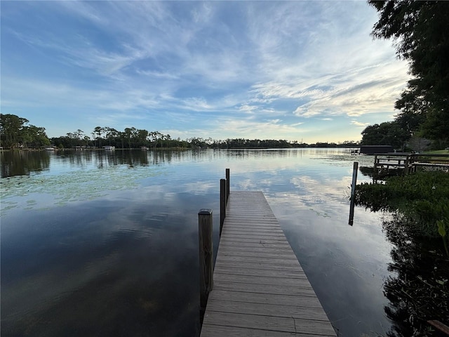 8602 Larwin Ln, Orlando, FL 32817 - photo 27