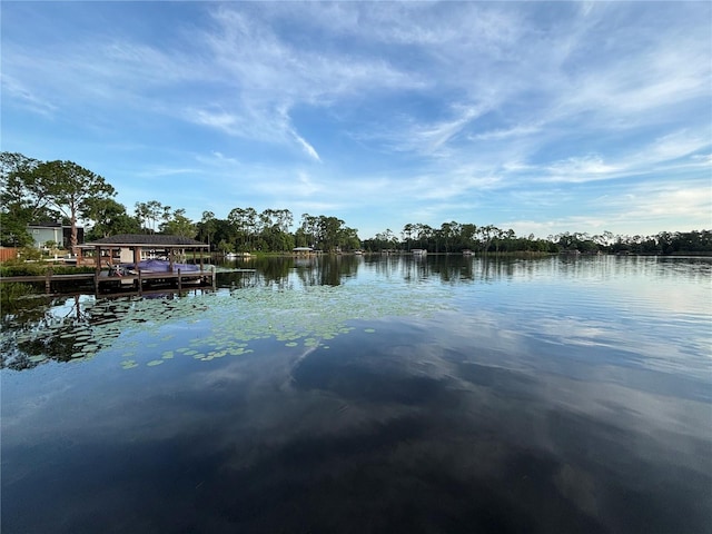 8602 Larwin Ln, Orlando, FL 32817 - photo 28