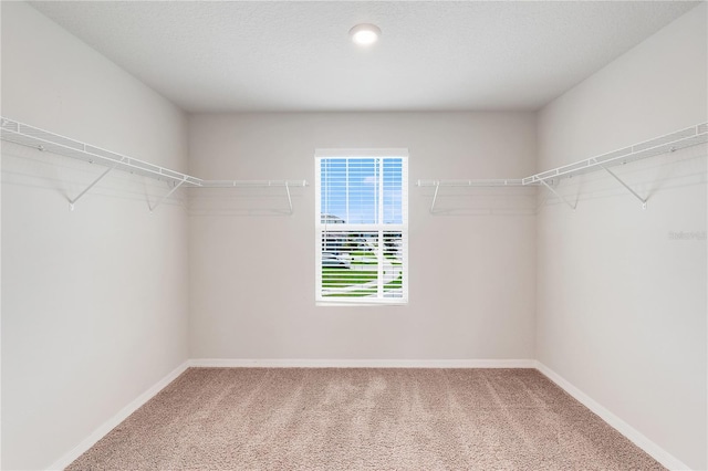 341 Guadlupe St, Haines City, FL 33844 - photo 18
