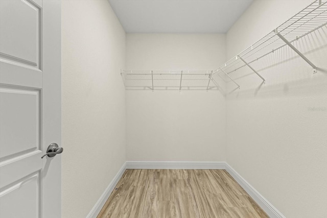 671 E Toledo Dr, Citrus Springs, FL 34434 - spacious closet featuring light wood-type flooring