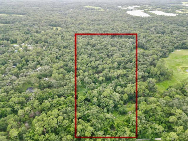 TBD SW 31st Way, Webster, FL 33597 - photo 1