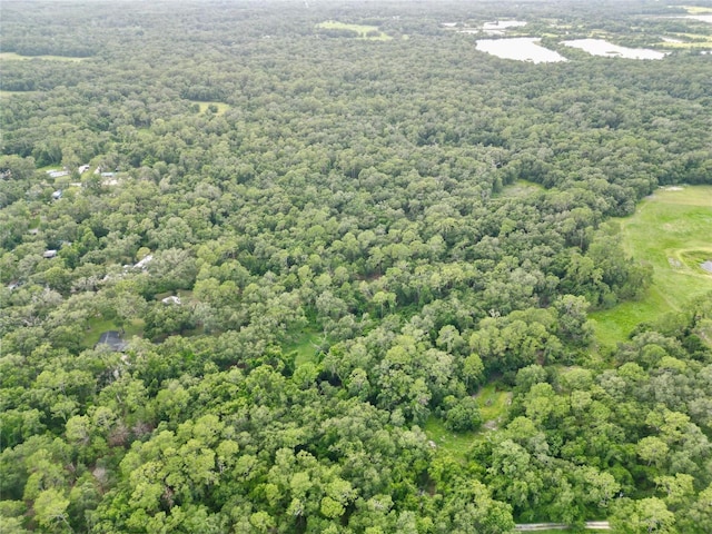 TBD SW 31st Way, Webster, FL 33597 - photo 2