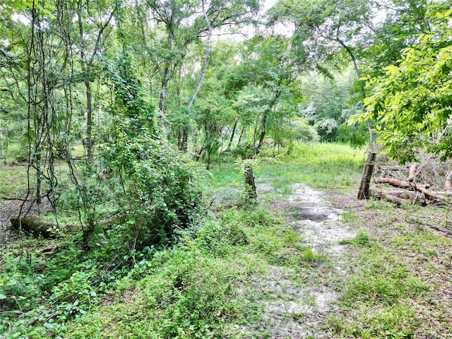 TBD SW 31st Way, Webster, FL 33597 - photo 3