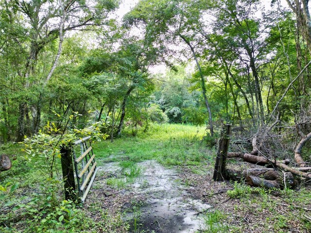 TBD SW 31st Way, Webster, FL 33597 - photo 4
