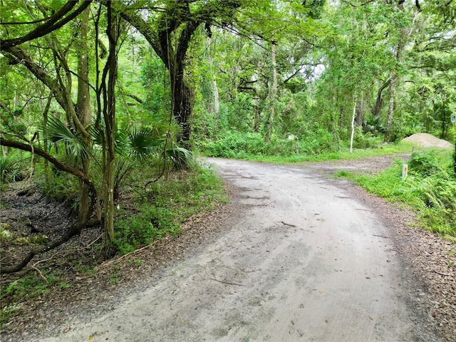 TBD SW 31st Way, Webster, FL 33597 - photo 5