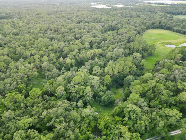 TBD SW 31st Way, Webster, FL 33597 - photo 6