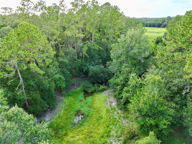 TBD SW 31st Way, Webster, FL 33597 - photo 8