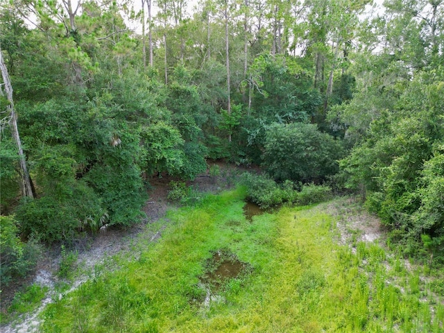 TBD SW 31st Way, Webster, FL 33597 - photo 9