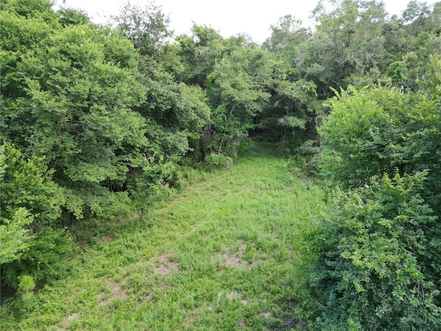 TBD SW 31st Way, Webster, FL 33597 - photo 10
