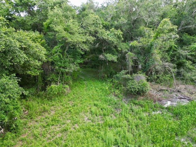 TBD SW 31st Way, Webster, FL 33597 - photo 11