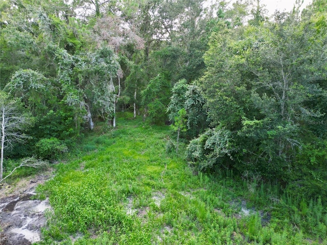 TBD SW 31st Way, Webster, FL 33597 - photo 12