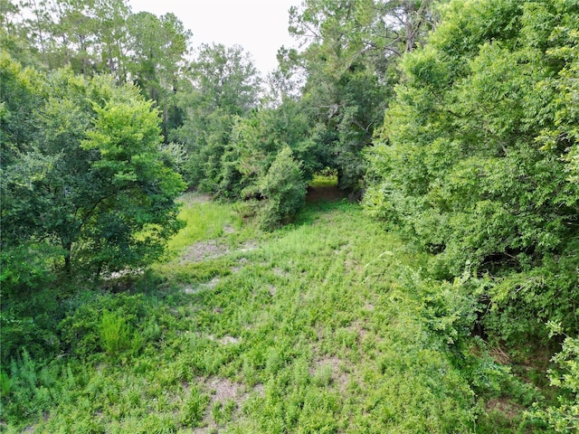 TBD SW 31st Way, Webster, FL 33597 - photo 13