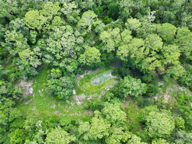 TBD SW 31st Way, Webster, FL 33597 - photo 15