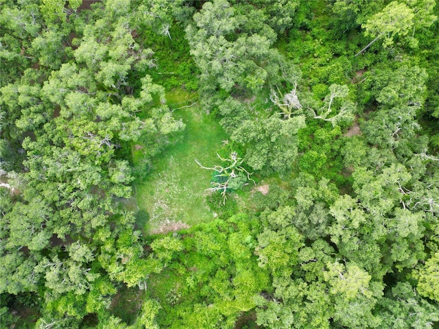 TBD SW 31st Way, Webster, FL 33597 - photo 18