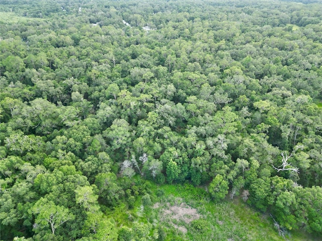 TBD SW 31st Way, Webster, FL 33597 - photo 19