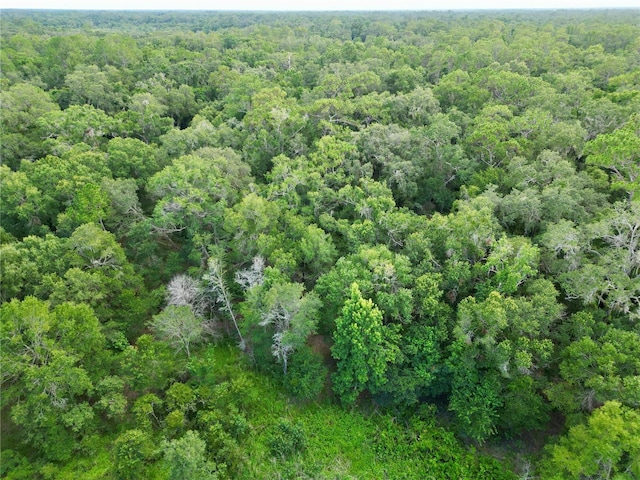 TBD SW 31st Way, Webster, FL 33597 - photo 20