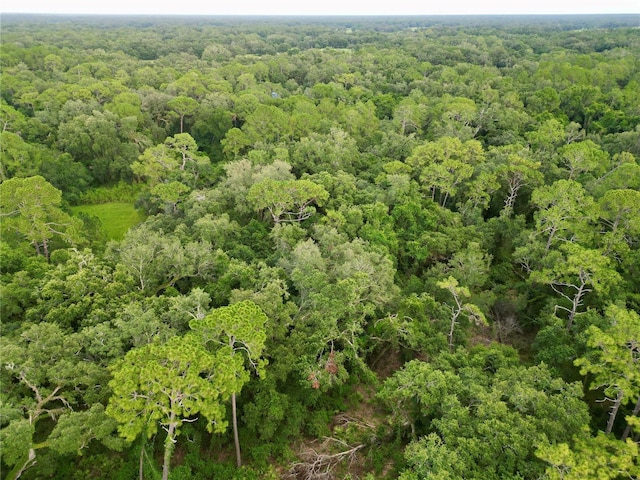 TBD SW 31st Way, Webster, FL 33597 - photo 21
