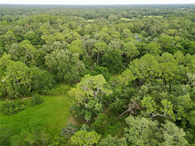 TBD SW 31st Way, Webster, FL 33597 - photo 22