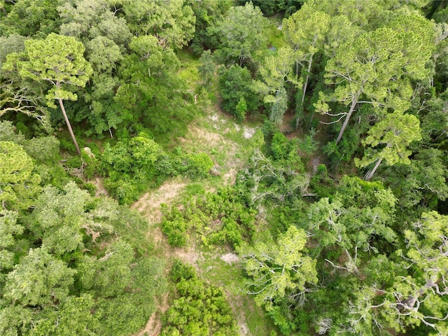 TBD SW 31st Way, Webster, FL 33597 - photo 23
