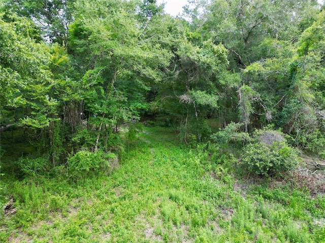 TBD SW 31st Way, Webster, FL 33597 - photo 24