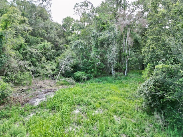 TBD SW 31st Way, Webster, FL 33597 - photo 25
