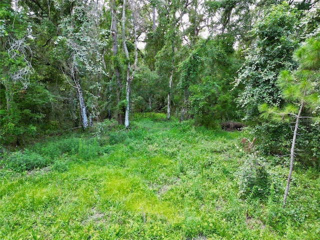 TBD SW 31st Way, Webster, FL 33597 - photo 26