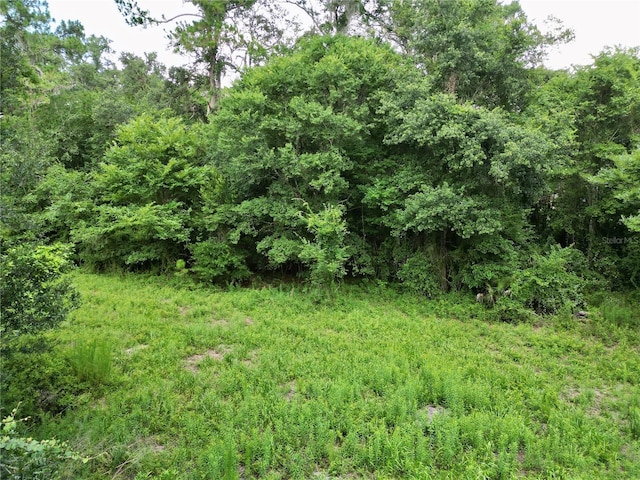 TBD SW 31st Way, Webster, FL 33597 - photo 27