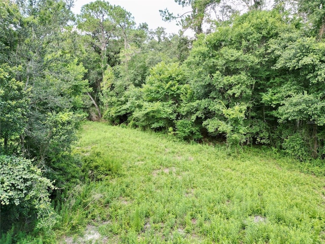 TBD SW 31st Way, Webster, FL 33597 - photo 28