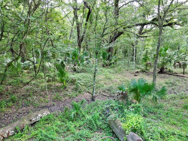 TBD SW 31st Way, Webster, FL 33597 - photo 29