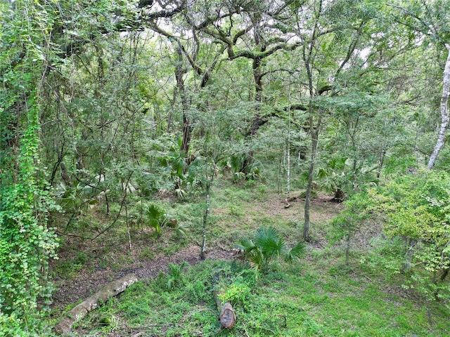 TBD SW 31st Way, Webster, FL 33597 - photo 30