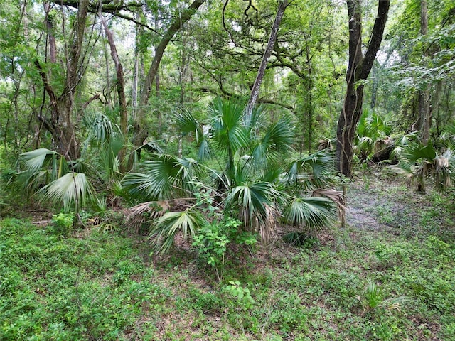 TBD SW 31st Way, Webster, FL 33597 - photo 31