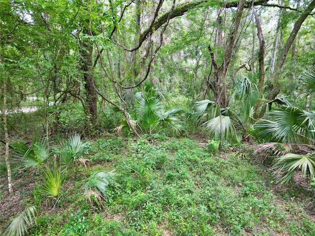 TBD SW 31st Way, Webster, FL 33597 - photo 32