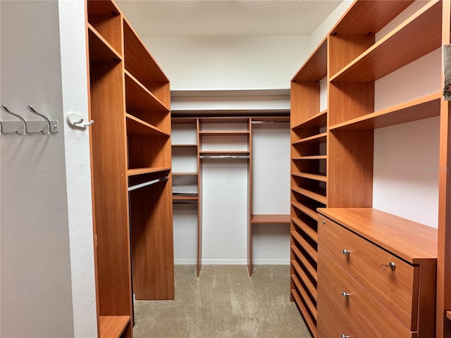14933 Thoroughbred Ln, Montverde, FL 34756 - spacious closet with carpet floors